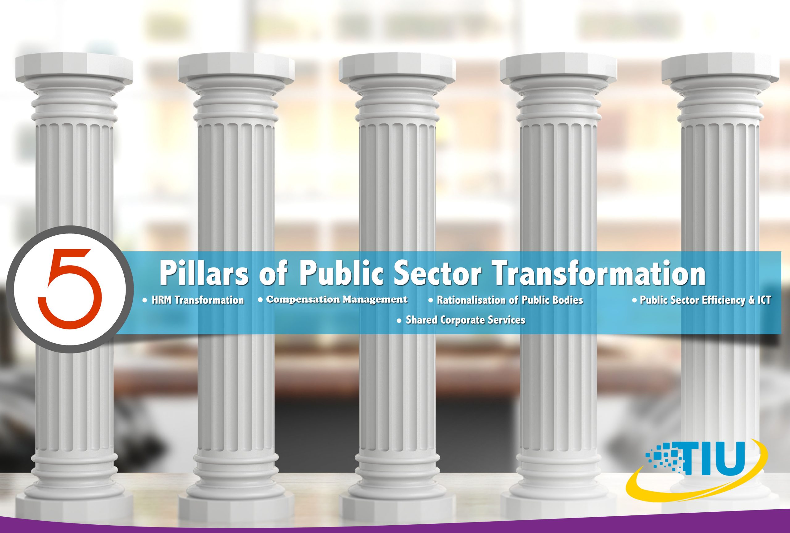Five Pillars of Transformation – Laying the Foundation for a Modern Public Service