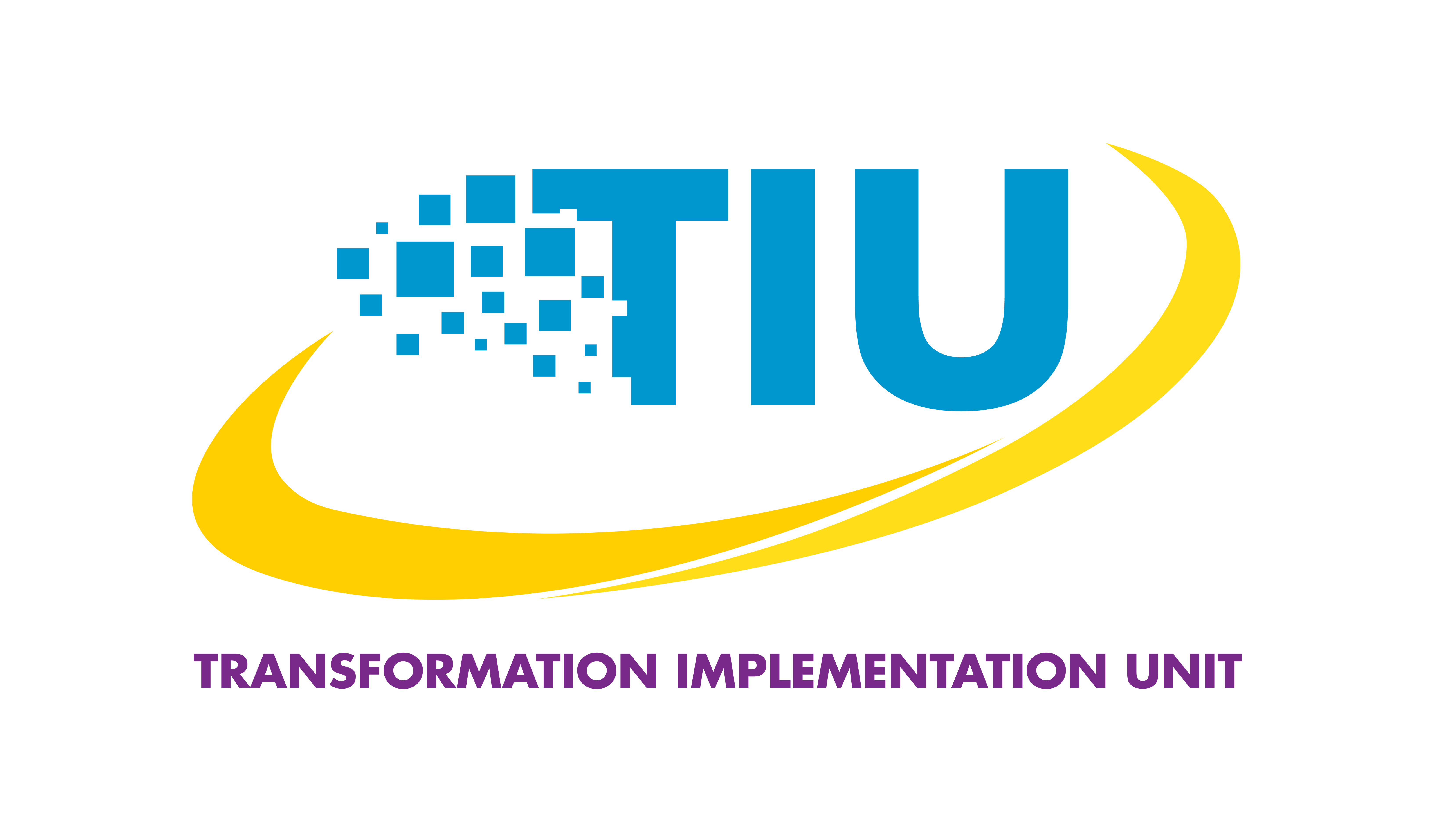 Transformation Implementation Unit – A Year in Review